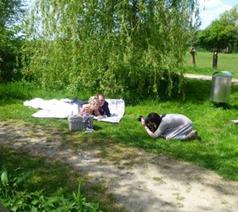 Geen fotobeschrijving beschikbaar.